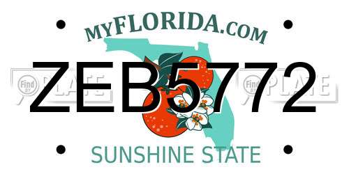 ZEB5772 Florida License Plate