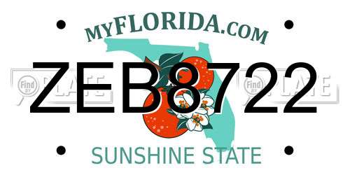 ZEB8722 Florida License Plate