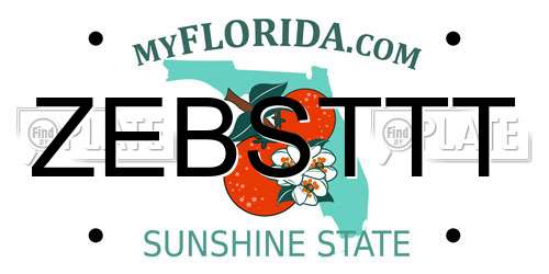 ZEBSTTT Florida License Plate