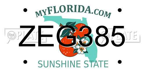 ZEG385 Florida License Plate