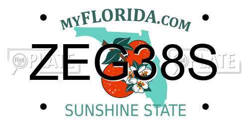 ZEG38S Florida License Plate