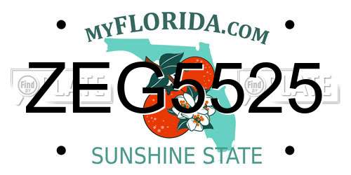 ZEG5525 Florida License Plate