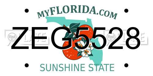 ZEG5528 Florida License Plate