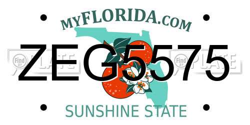 ZEG5575 Florida License Plate