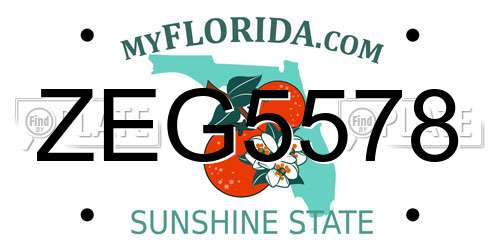 ZEG5578 Florida License Plate