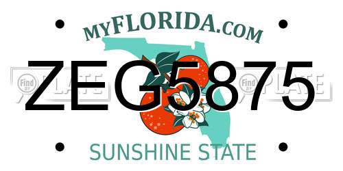 ZEG5875 Florida License Plate