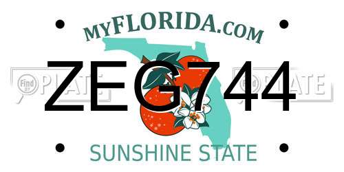 ZEG744 Florida License Plate