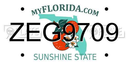 ZEG9709 Florida License Plate