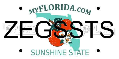 ZEGSSTS Florida License Plate