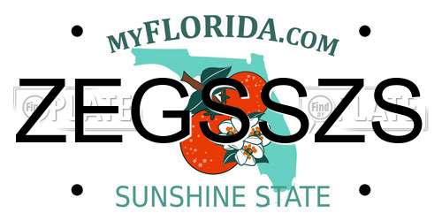ZEGSSZS Florida License Plate