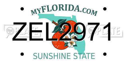 ZEL2971 Florida License Plate