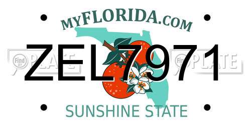 ZEL7971 Florida License Plate