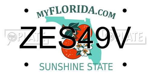 ZES49V Florida License Plate