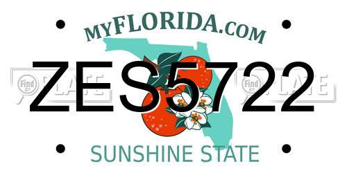 ZES5722 Florida License Plate