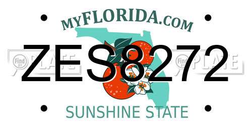 ZES8272 Florida License Plate