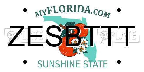 ZESBTTT Florida License Plate