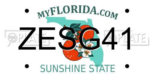 ZESG41 Florida License Plate