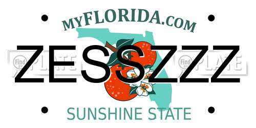 ZESSZZZ Florida License Plate