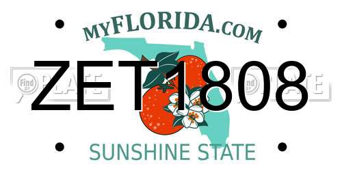 ZET1808 Florida License Plate