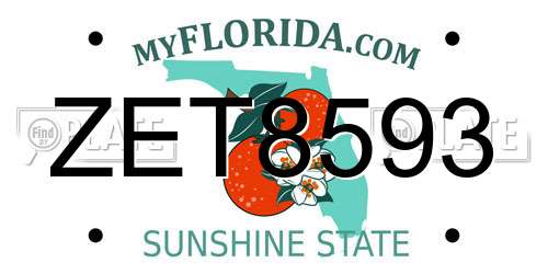 ZET8593 Florida License Plate