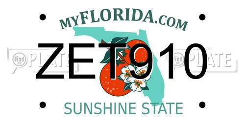 ZET910 Florida License Plate