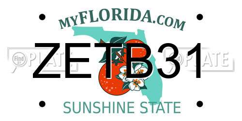 ZETB31 Florida License Plate