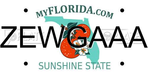 ZEWGAAA Florida License Plate