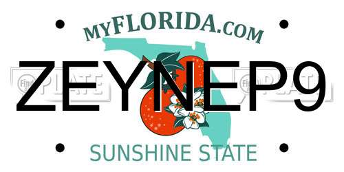 ZEYNEP9 Florida License Plate