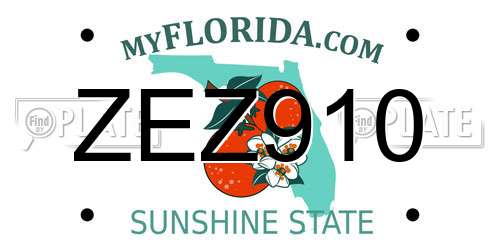ZEZ910 Florida License Plate