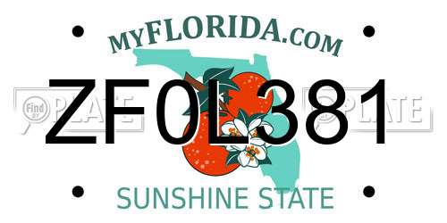 ZF0L381 Florida License Plate
