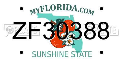 ZF30388 Florida License Plate