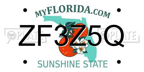 ZF3Z5Q Florida License Plate