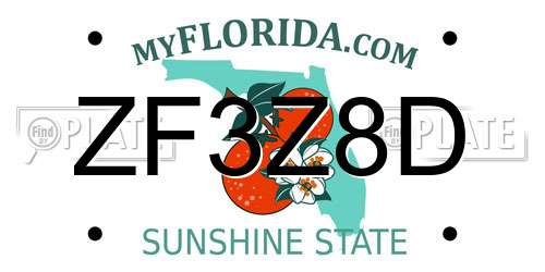 ZF3Z8D Florida License Plate