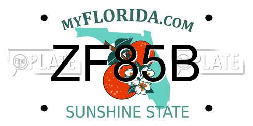 ZF85B Florida License Plate