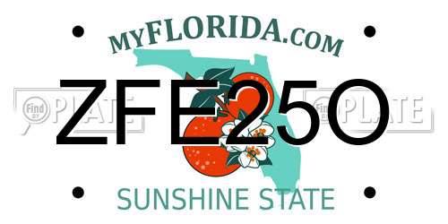 ZFE25O Florida License Plate