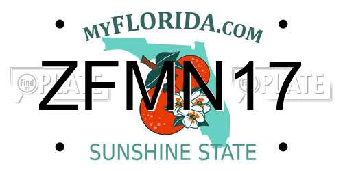 ZFMN17 Florida License Plate