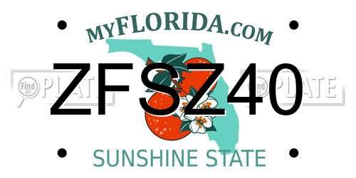 ZFSZ40 Florida License Plate