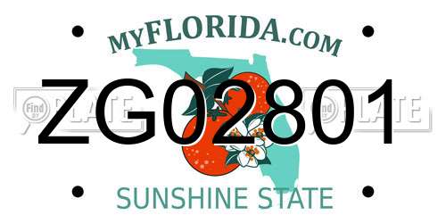 ZG02801 Florida License Plate
