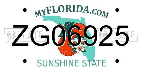 ZG06925 Florida License Plate