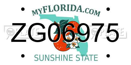ZG06975 Florida License Plate