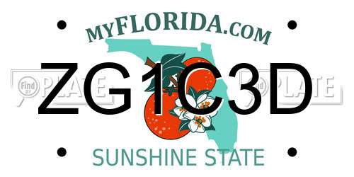 ZG1C3D Florida License Plate