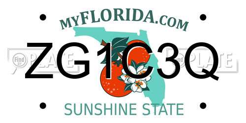 ZG1C3Q Florida License Plate