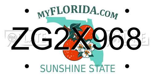ZG2X968 Florida License Plate
