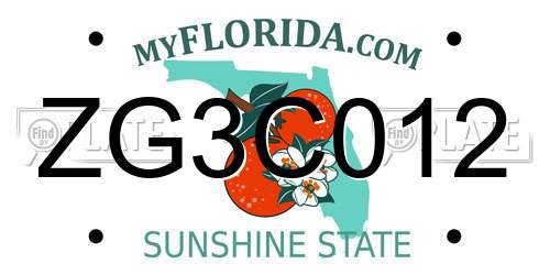 ZG3C012 Florida License Plate