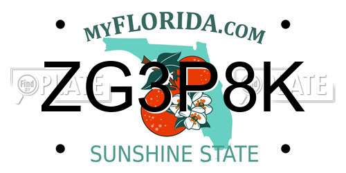 ZG3P8K Florida License Plate
