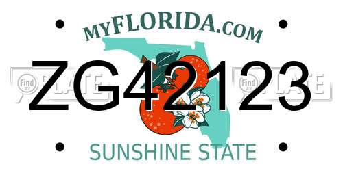 ZG42123 Florida License Plate
