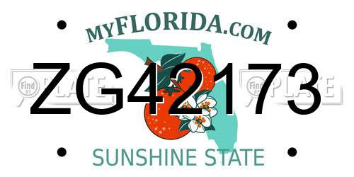 ZG42173 Florida License Plate