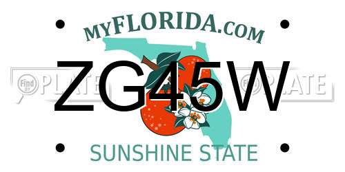 ZG45W Florida License Plate