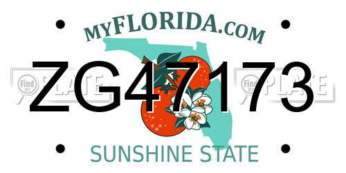 ZG47173 Florida License Plate