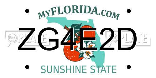ZG4E2D Florida License Plate